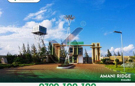 Optiven Spreads Love with Valentine’s Offer at Amani Ridge Garden